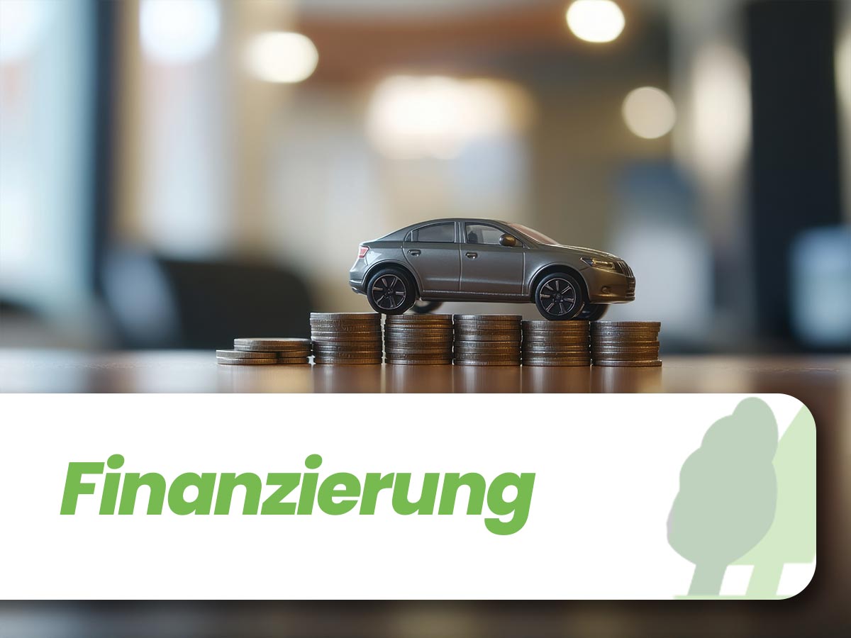 Marketing-finanzierung