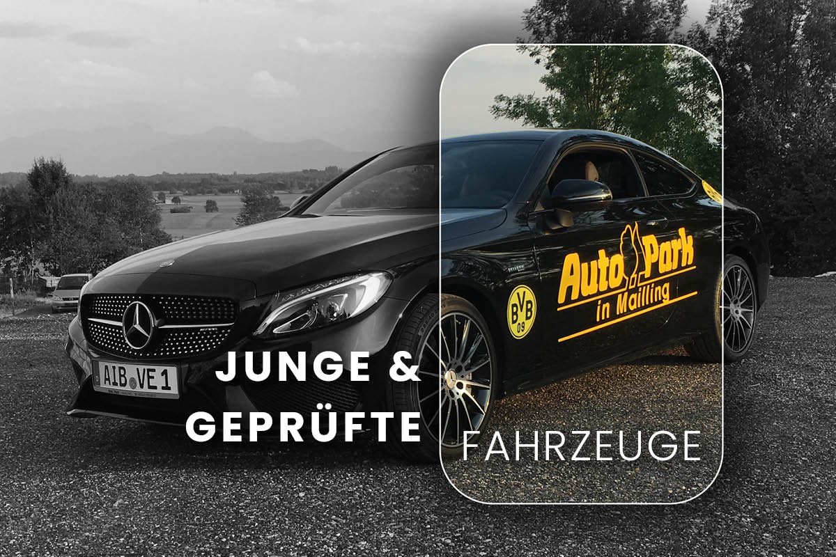 Ein schwarzer Mercedes mit auffälliger gelber Werbeaufschrift „AutoPark in Mailling“ und BVB-Logo steht im Vordergrund, umgeben von Landschaft. Der Text „JUNGE & GEPRÜFTE FAHRZEUGE“ hebt das Angebot von jungen, geprüften Autos hervor.